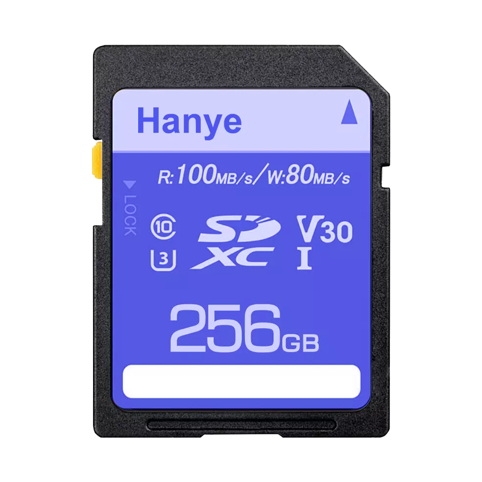 SD-XC256GBV3