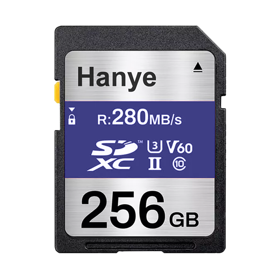 SD-XC256GBV6